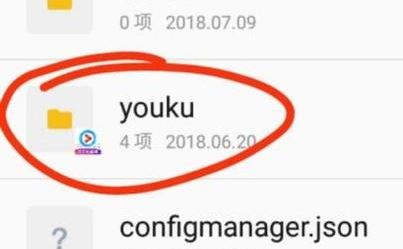 �ſ����ص���Ƶ���ĸ��ļ��У�������ȡ�ſ�������Ƶ�Ĳ�������