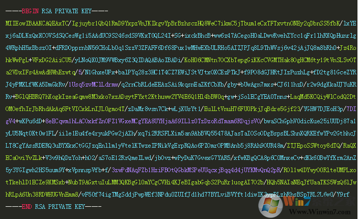 WannaRen�����������������ṩ������Կ,δ�յ�һ�����