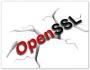 openssl����_openssl Windows v1.1.0h(OpenSSL����)