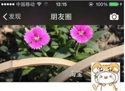 ����Ȧͣ�ý��Լ��ɼ�,��ֹ�κ��˲鿴����Ȧ����