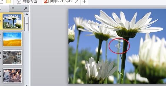 ppt音乐怎么一直播放?PPT设置音乐自动循环播放的方法