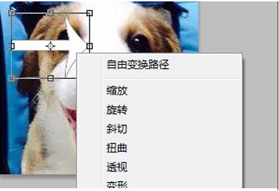 PS旋转图片,PS怎么旋转图片、图层?