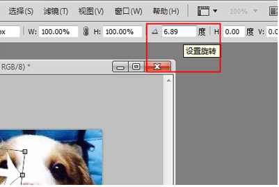 PS旋转图片,PS怎么旋转图片、图层?