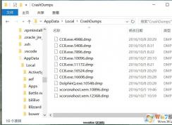 crashdumps�ļ�����ʲô,�����DMP�ļ�����ɾ����