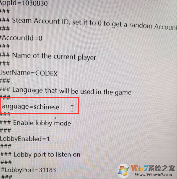 四海兄弟2怎么设置中文?四海兄弟2英文调中文方法