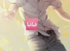 bվӲ����ô��?BվӲ�һ�ȡ����2020