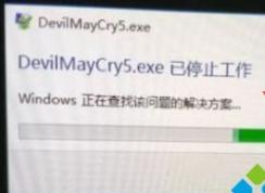 Win10�����5���˳���DevilMayCry5.exe��ֹͣ������ô���