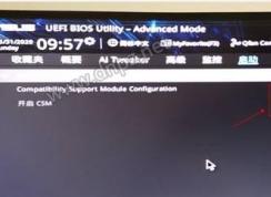 BIOS���csmѡ���ǻ�ɫ�޷��޸���ô�����