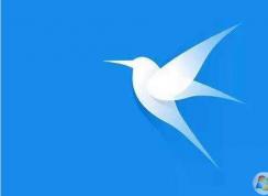 Ѹ�װ׽��Ա�ͳ�����Ա�������