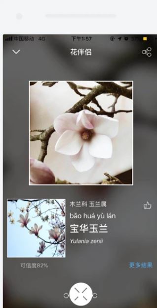 花伴侣下载_花伴侣APP安卓版(拍照识花)