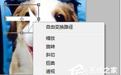 ps怎么旋转图片?Photoshop旋转图片教程