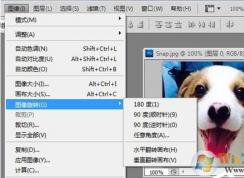 ps��ô��תͼƬ��Photoshop��תͼƬ�̳�