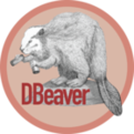 dbeaver����_DBeaver���ݿ��������İ�