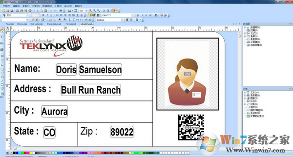 Codesoft����_Codesoft2018�����ƽ��(���α���ӡ����)