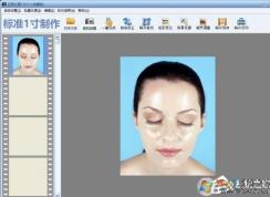 ֤���������沿�͹�̫����ô���ƣ�֤��֮���������