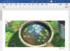 Word���ѹ��ͼƬ�Լ�С�ĵ������