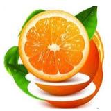 ������Ƶ��׿��(�ֻ�������Ƶ������)