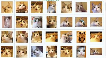 è���������|��Ƥè�����[115��QQ�����]