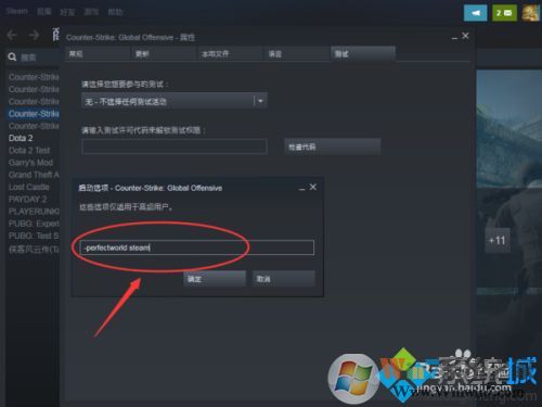 csgo优化启动项让游戏更流畅方法
