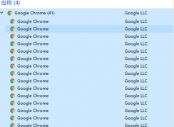 �ȸ��������һ����ҳҲ�кܶ�Google Chrome������ô���£�