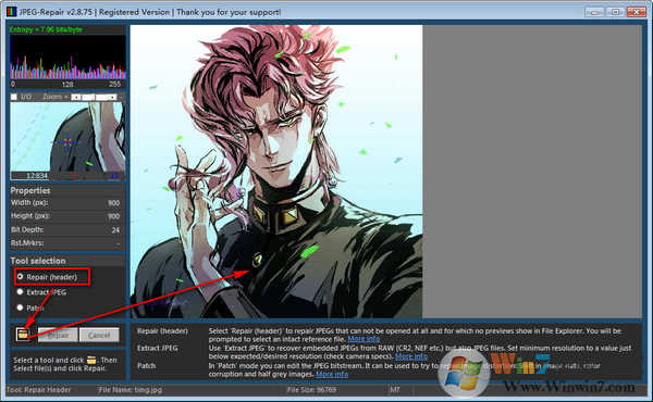 ��Ƭ�޸�����JPEG-Repair v2.8.7.5��ɫ��