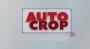Auto Crop�������(AE�ϳ������Զ��ü����) v3.1.1�ٷ���