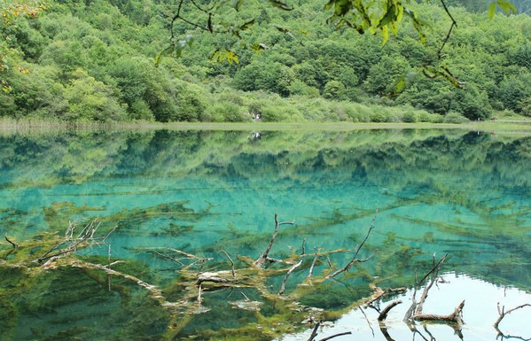 ��կ��ͼƬ����_��կ����������ͼƬ�ϼ�