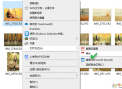 Win10ϵͳ֧��RAWͼƬ�鿴�ķ���