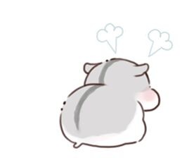 HamHam������������|HamHam����ȫ�ױ����