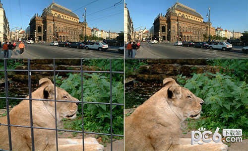 wire worm(PS�˾����)