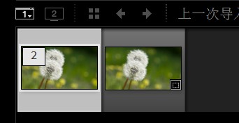 Nik Collection���İ�