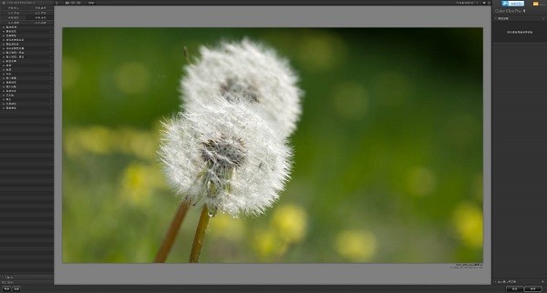 Nik Collection���İ�