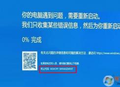 Win10ϵͳ��������memory management�޸�����