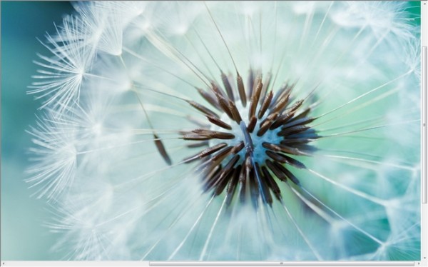 All��վͼƬ����������