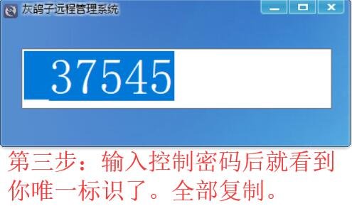 灰鸽子远程控制软件 灰鸽子