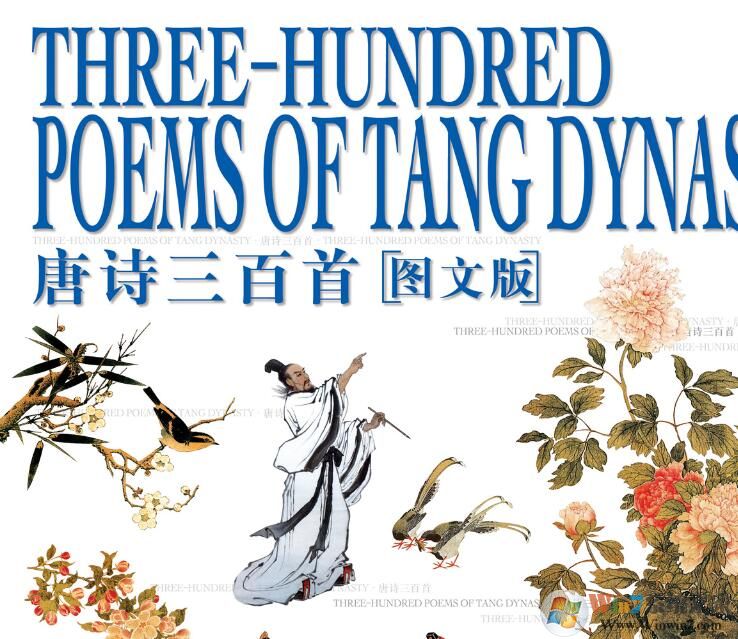 ��ʫ300���������_��ʫ300��[PDF������]