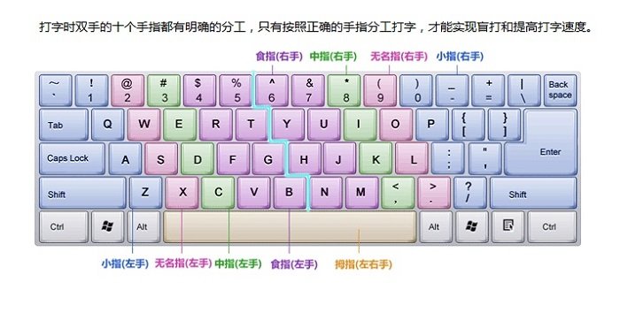 金山打字通2019电脑版 金山打字通2019最新版