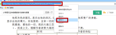 冰点文库下载器绿色版 冰点文库下载器官方版