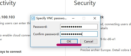 vnc4.0������