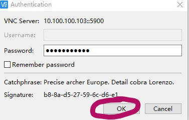 vnc4.0������