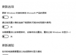 Win10ǿ�Ƹ���20h2��ô�ر�?Windows10ǿ�Ƹ���20H2�Ľ������