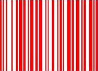 NiceLabel Pro 5(�����ǩ���) V5.0 �����ƽ��