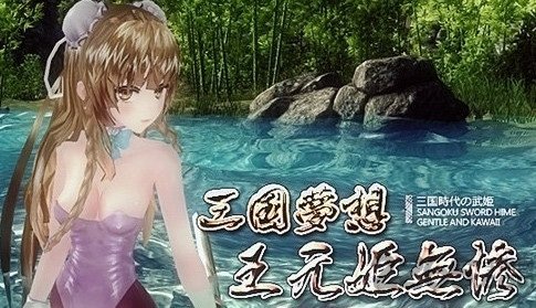 三国梦想王元姬无惨游戏 内购破解版