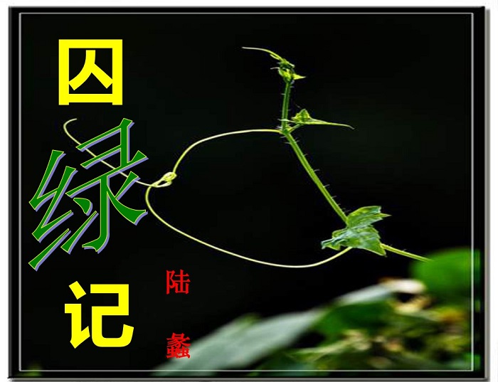 ���̼�PPT���Ŀμ����� ��Ѱ�