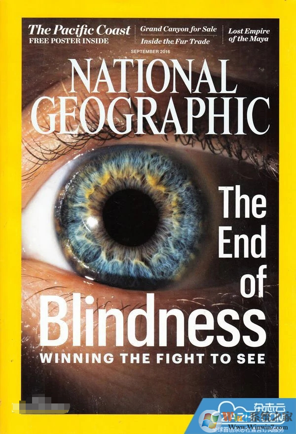 �������ҵ���PDF���İ�2018��ȫ��