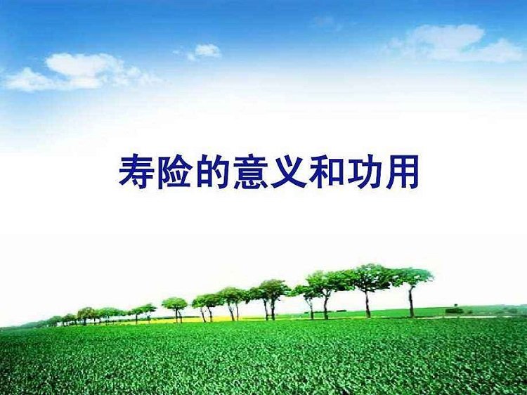 寿险的意义和功用课件 寿险的意义和功用ppt免费模板