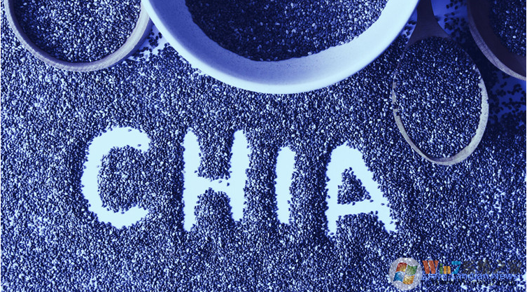 ���ͼ��ܻ���CHIAʹ��Ӳ���ڿ�,�ڿ�ķѴ���Ӳ��