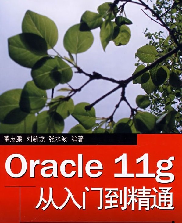 Oracle11g�̳�_Oracle11g�����ŵ���ͨPDF������Ӱ�