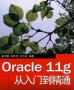 Oracle11g�̳�_Oracle11g�����ŵ���ͨPDF������Ӱ�