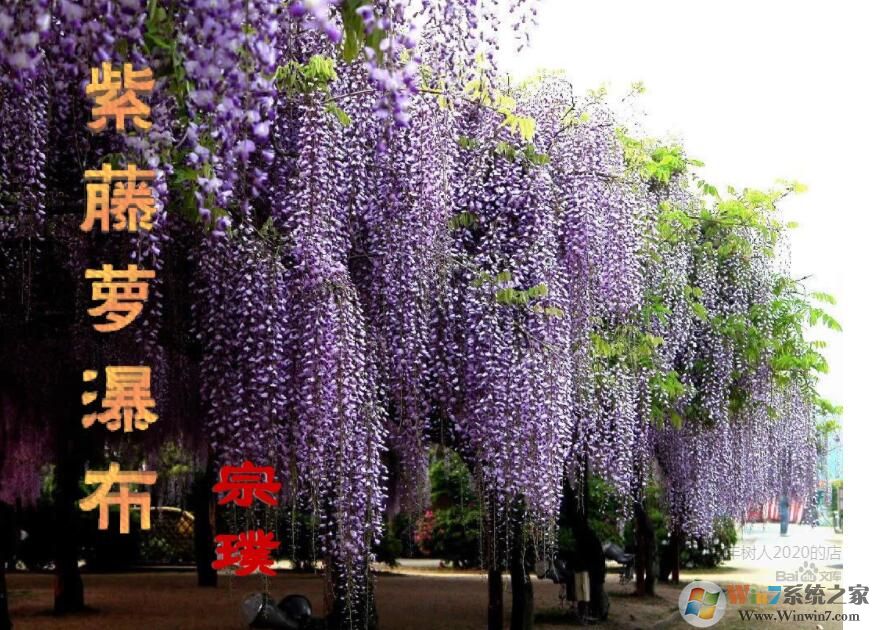 �������ٲ�PPT�������|�������ٲ��̰�(����PPT�μ����)